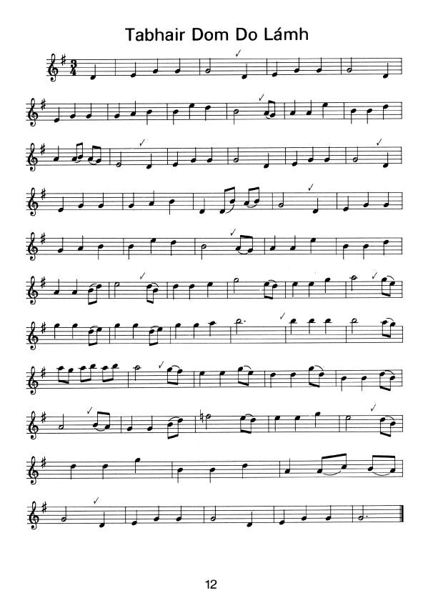 30 Irish Tunes For Easy Recorder