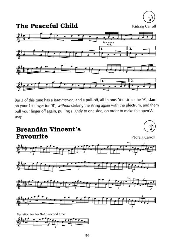 A Complete Guide to Learning the Irish Mandolin | CD Edition