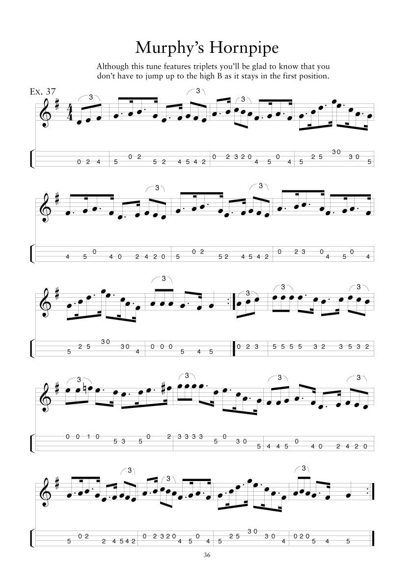 The Complete Guide to Learning the Irish Tenor Banjo | CD Edition