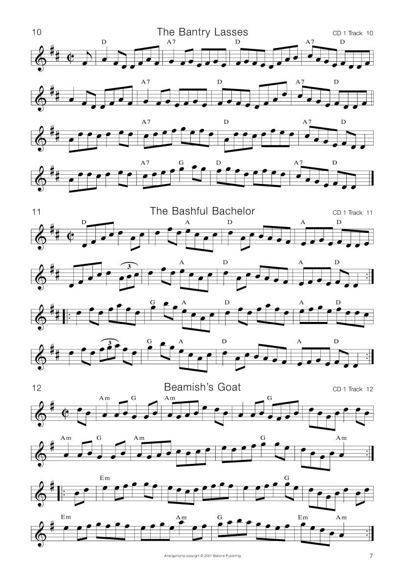 110 Best Irish Session Tunes | Book & CD Edition | Vol 3 |