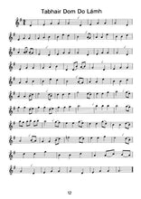 Load image into Gallery viewer, 30 Irish Tunes For Easy Recorder
