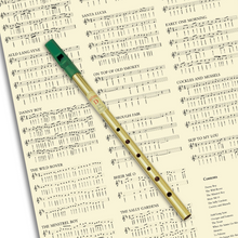 Load image into Gallery viewer, Irish Tin Whistle | Whistle &amp; Instructions
